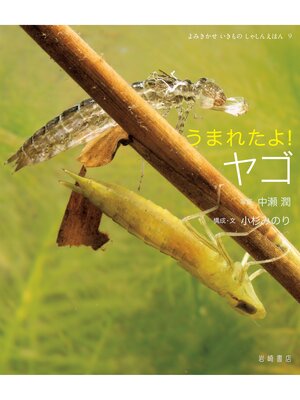 cover image of うまれたよ!ヤゴ